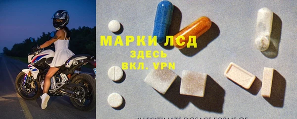 сатива Баксан